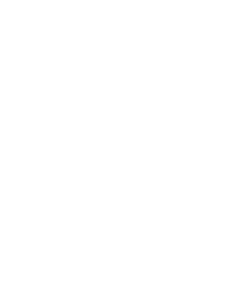 AlmmoX